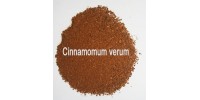 ORGANIC HERBAL TEA CINNAMON OF CEYLAN (Cinnamomum verum)